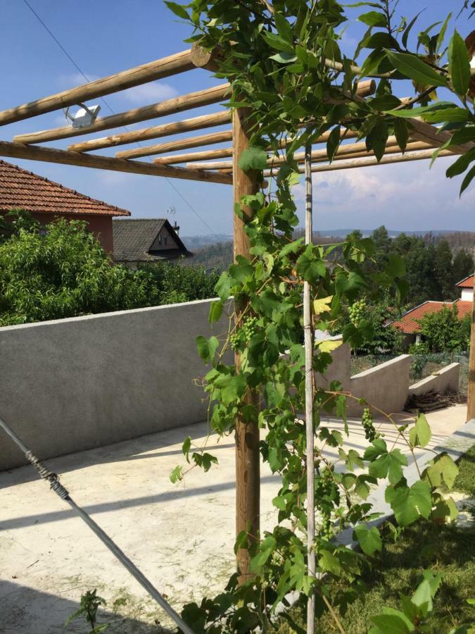 Vale Coelhos Casa De Campo Sarnadela Екстериор снимка